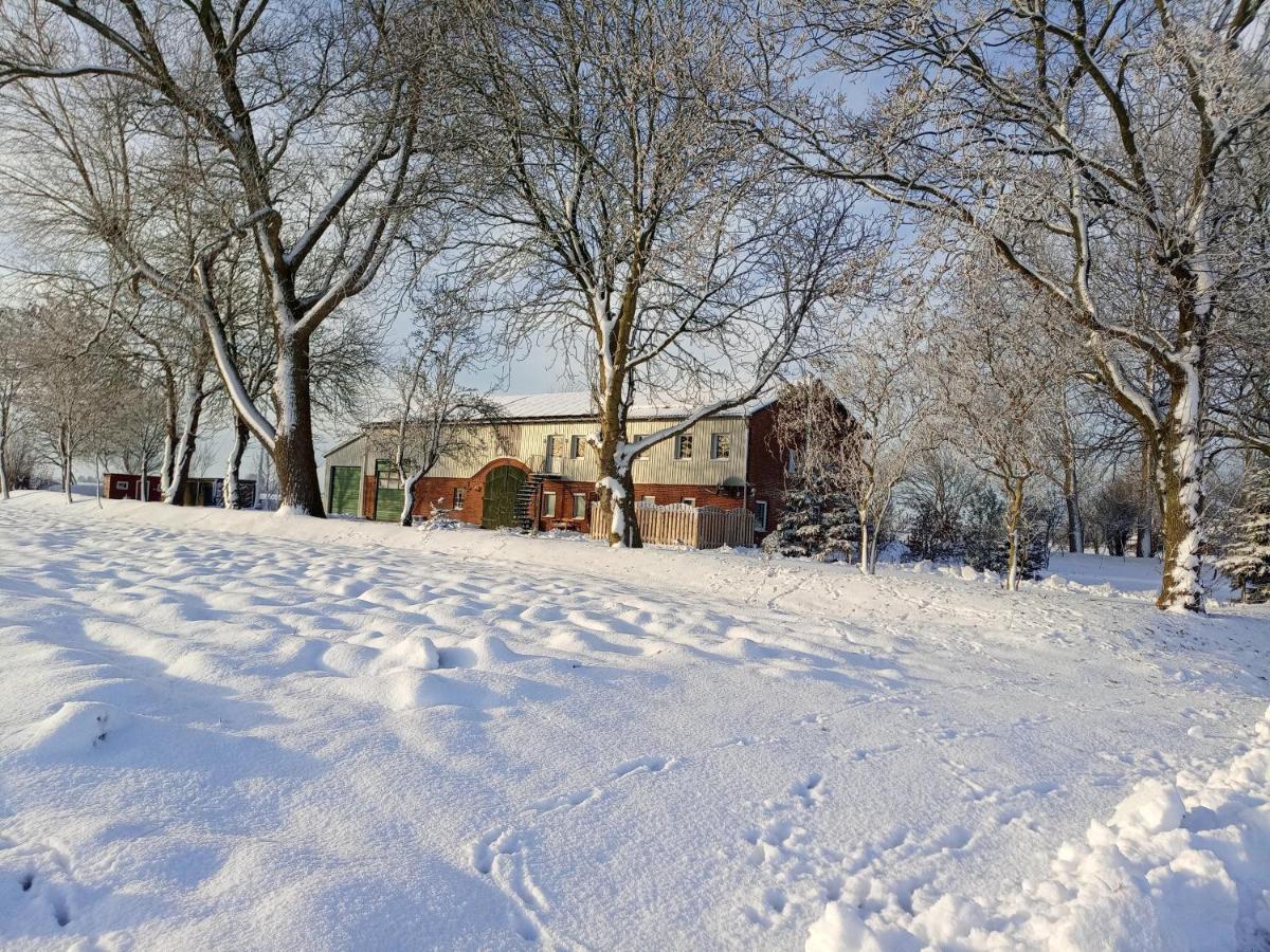 Ferienhof Hansen Groven Zewnętrze zdjęcie